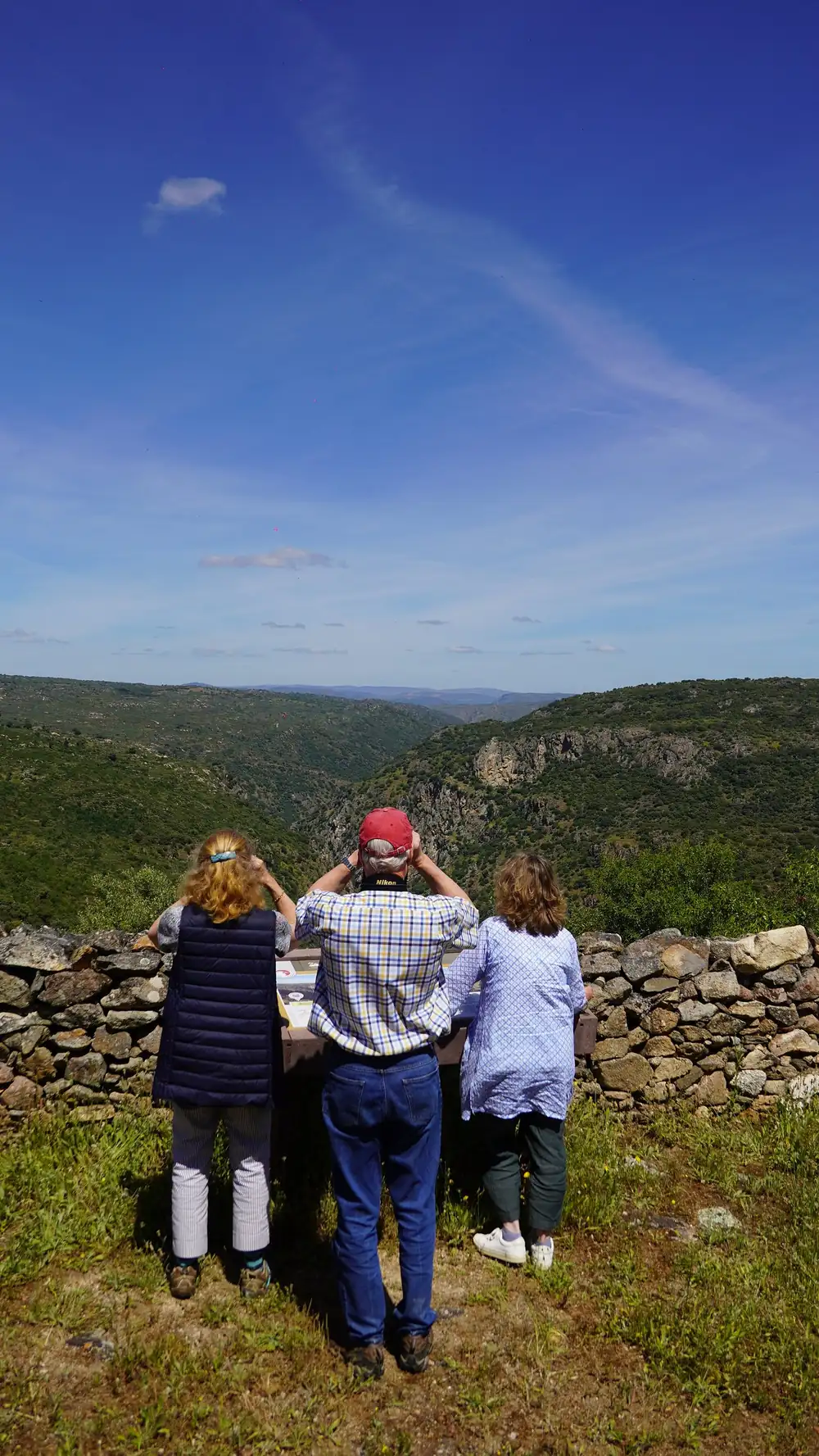 Birdwatching over the Côa canyon at Faia Brava