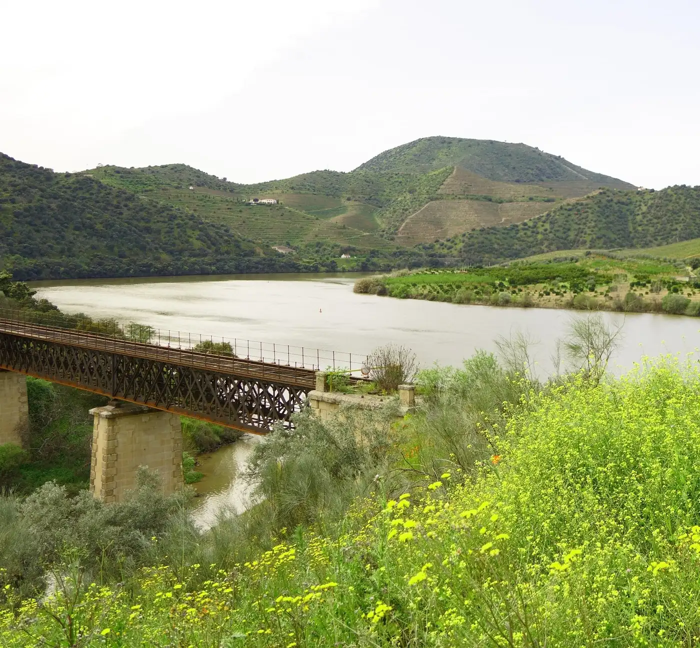 The Côa river and old railway bridge near Vilar de Amargo