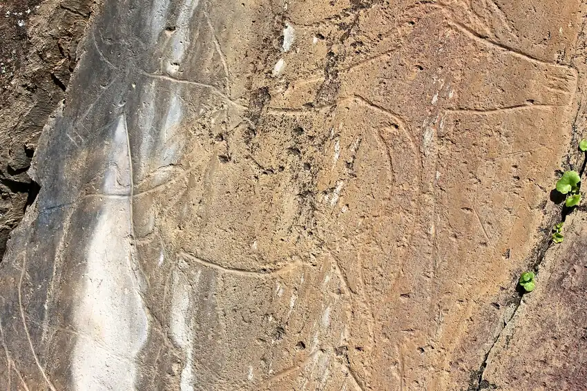 Overlapping horse and bovine engravings