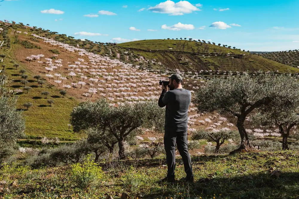 Photographing the almond blossom among the olive groves